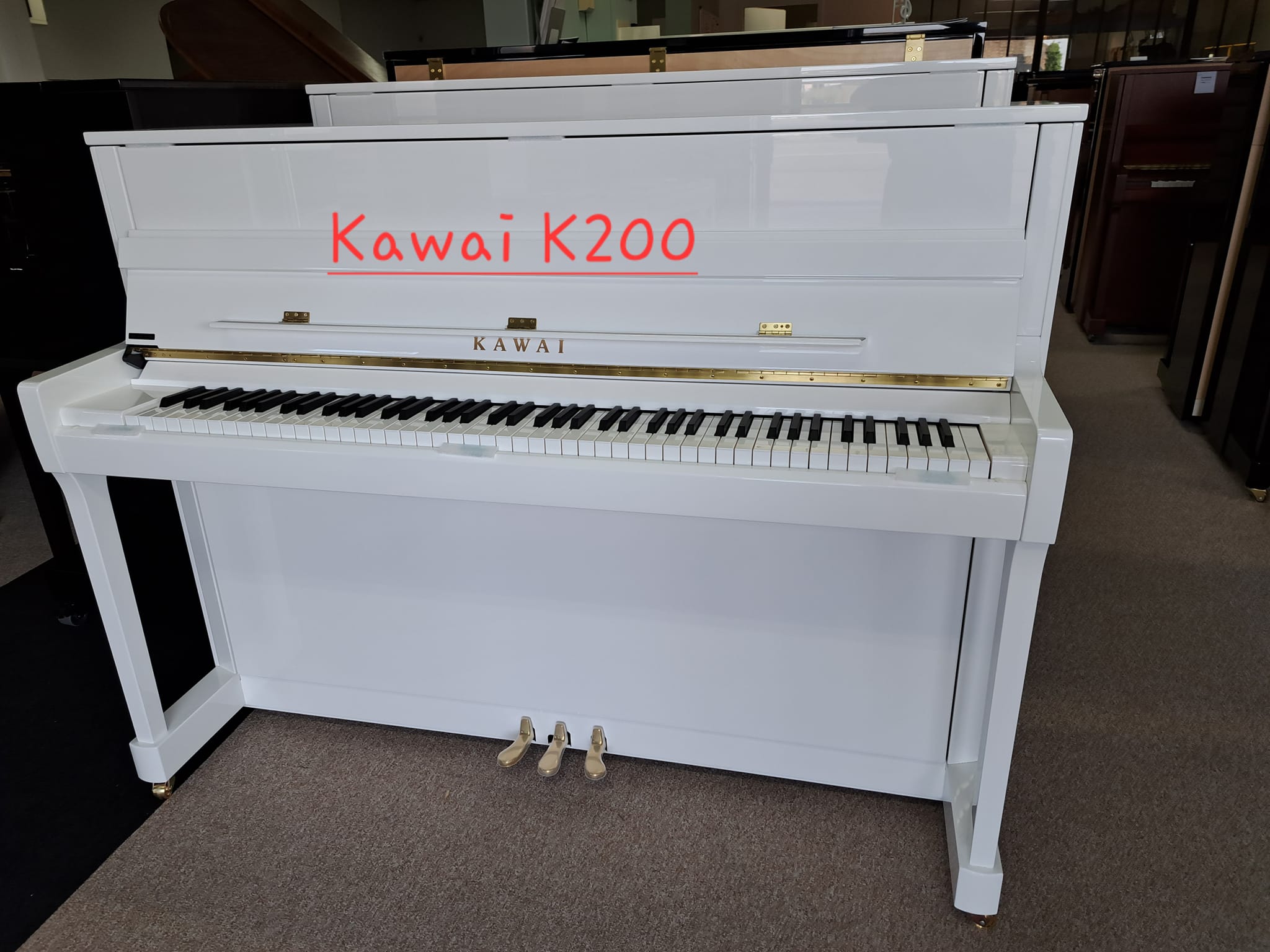 IMG BRP Vente/Kawai K200